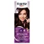 Palette Hajfesték 4-89 Intenzív padlizsán